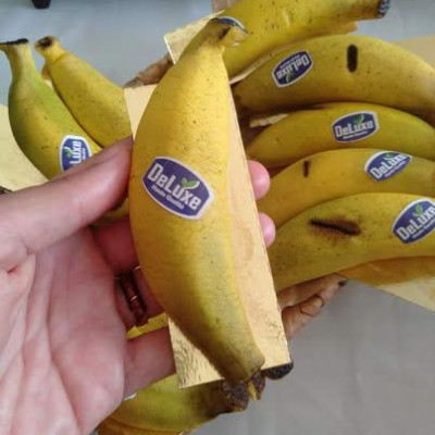 🍌 فواكه الموز