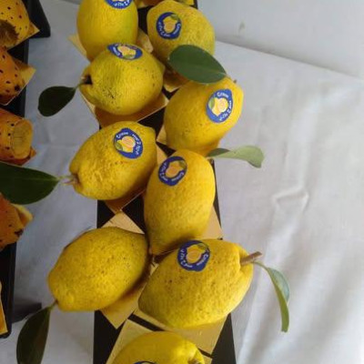 🍋  فواكه الليمونة
